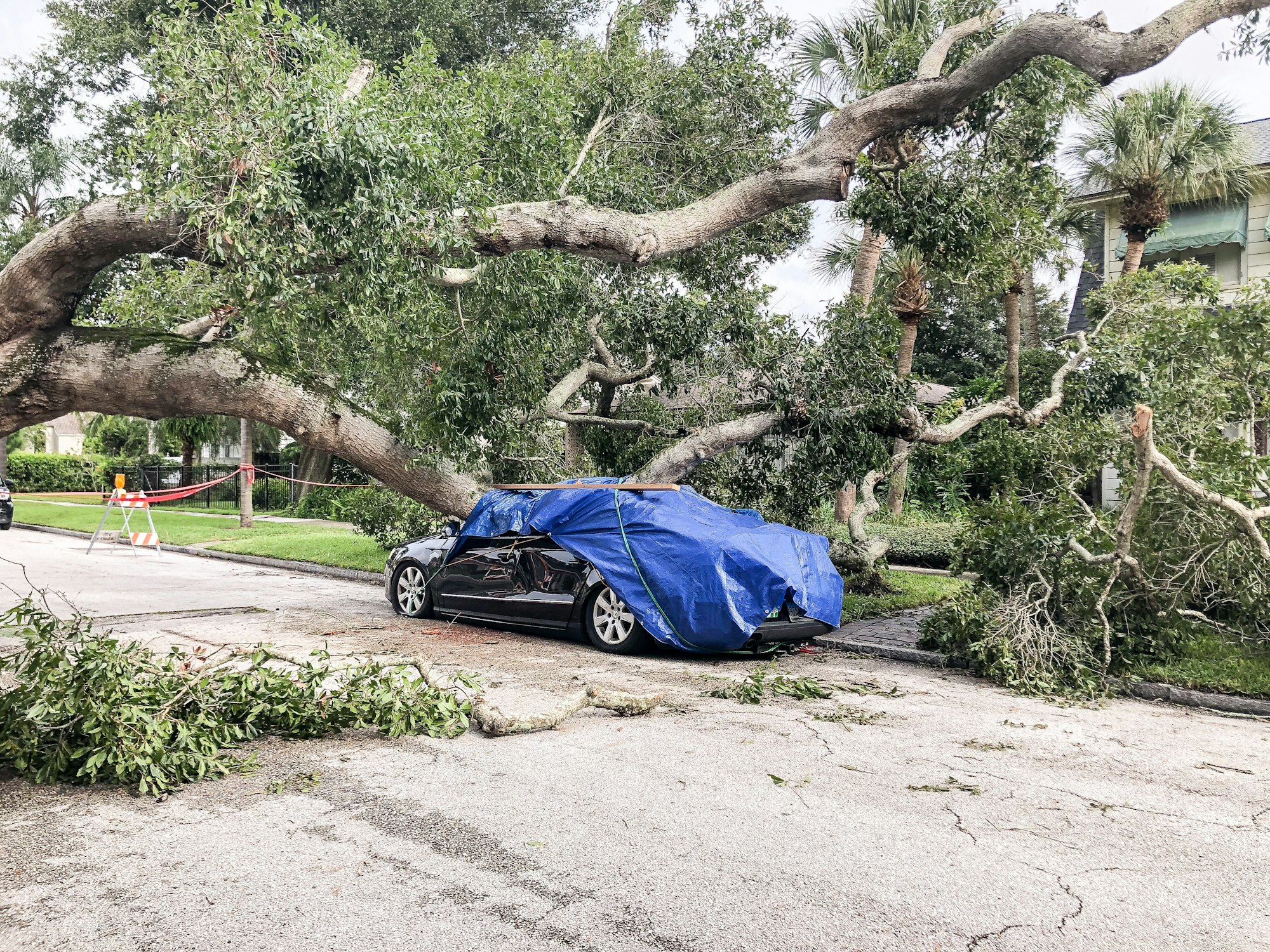 The aftermath of a hurricane with a fallen tree that landed on a car